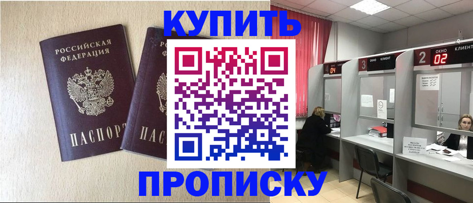 прописка для школы в Северске
